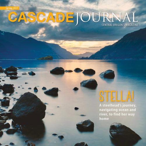 CascadeJournal-Spring2017-Cover